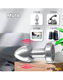 AFTERDARK Dimpor Chrome anālais spraudnis ar vibrāciju un magnētisko USB izmēru S