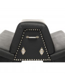 MASTER SERIES Bareback Submission Zirgs